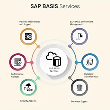 Customer Support from SAP Basis Admin - Dubai | Nordia