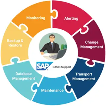 Software Solutions for SAP Basis - Dubai | Nordia